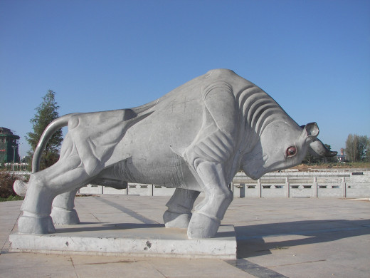 664176 (a): :2592x1944